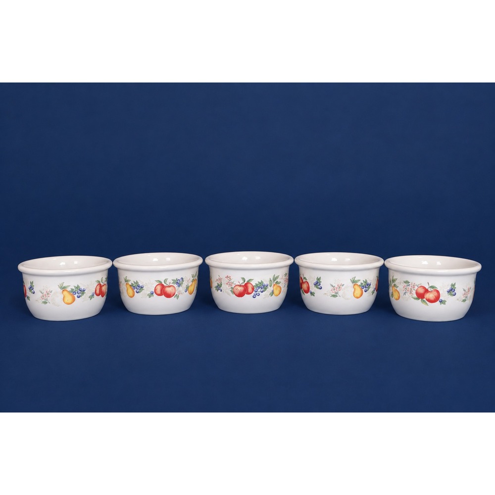 SET OF 5-Corelle Coordinates CHUTNEY FRUIT Stoneware Ramekins 7 oz. BOWLS